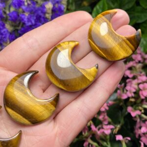 Tigers Eye Crescent Moon Carving: Polished Gemstone