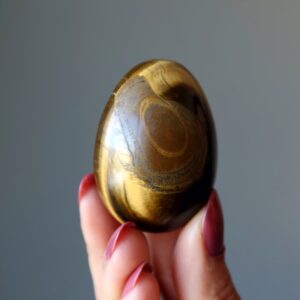 Tigers Eye Egg Golden Success Nature's Muddy Miracle Stone