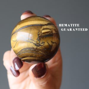 Tigers Eye Sphere Roar Of Success World Champion Crystal Ball