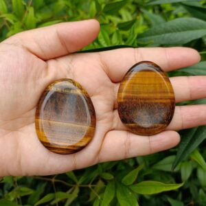 Tiger's Eye Worry Stone