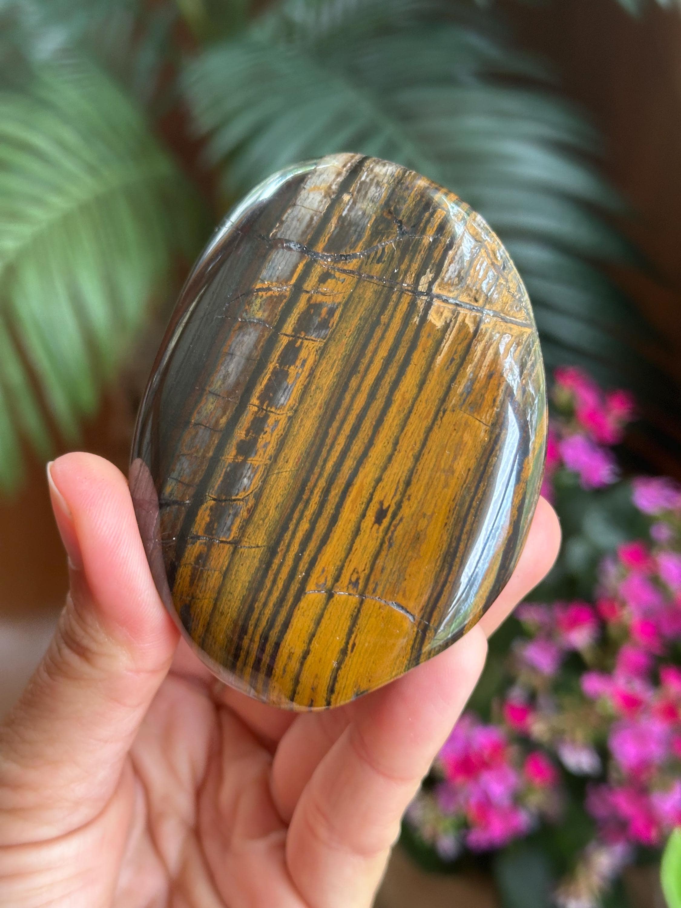 Xl Tiger Eye Palmstone, Courage, Power, Protection, Palm Stone