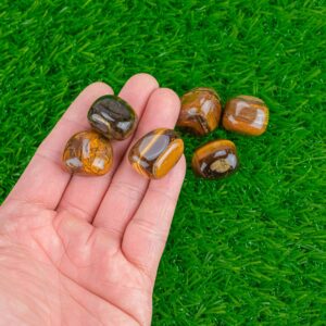 1 pc Natural Tiger Eye Medium Large Tumbled Stone- 0.5-1 inch
