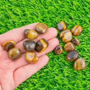 1 pc Natural Tiger Eye Medium Tumbled Stone- .5 inch-1.25 inch
