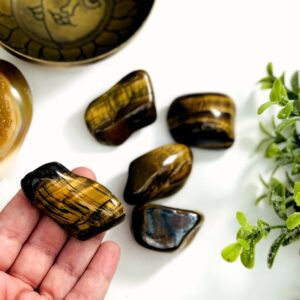 Large Polished Tiger Eye Tumbled Stones – Protection Crystals