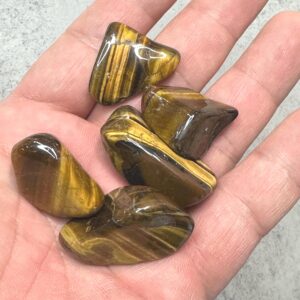 Medium Tiger's Eye 3/4" Tumbled Stone
