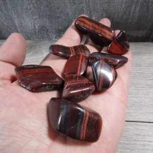 Red Tiger's Eye // Tumbled Stone // About .75 - 1 Inch Each