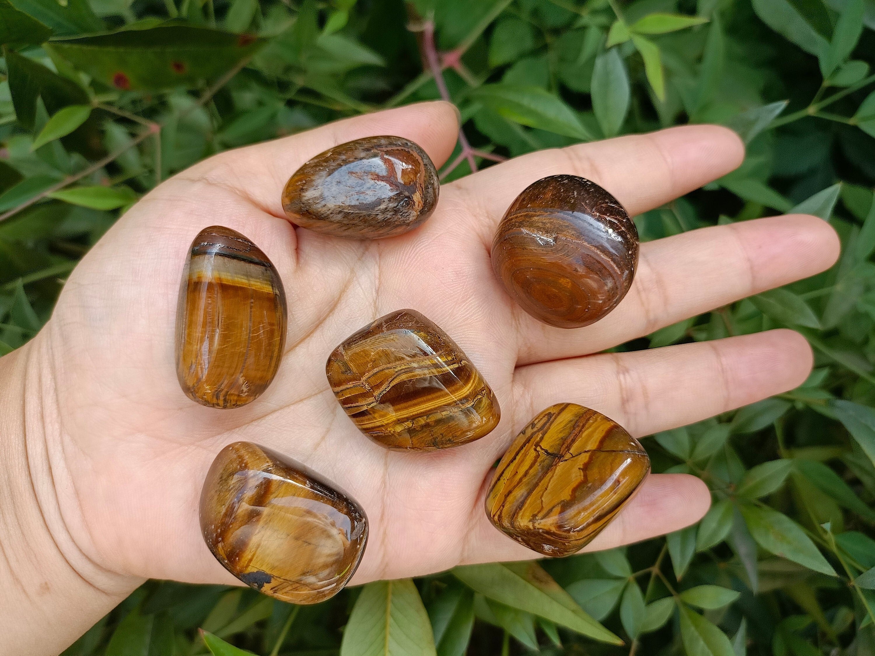 Tiger's Eye Tumbled Stones 20-40mm (1"-1.5")
