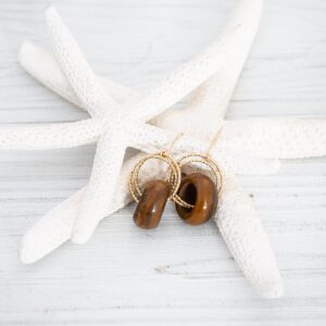 Tiger Iron Roundel Earrings, Healing Gemstones on 14k Gold Filled Wire
