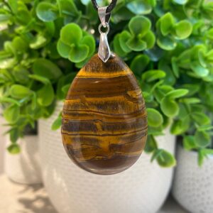 Natural Brown Tigers Iron Pendant Necklace Natural Brown Tigers Iron Pendant Necklace