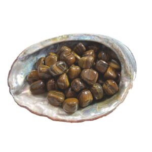 6X Tiger Iron Tumbled Stone 20-25mm Chunky Reiki Healing Crystal Conflict Stress Gift Set Pouch with Info Card