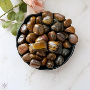 Tiger Iron Tumbled Stones | Polished Tiger Iron Crystal Gemstones | Shop Metaphysical Crystals for Root, Sacral, Solar Plexus Charkas Tiger Iron Tumbled Stones | Polished Tiger Iron Crystal Gemstones | Shop Metaphysical Crystals for Root, Sacral, Solar Plexus Charkas