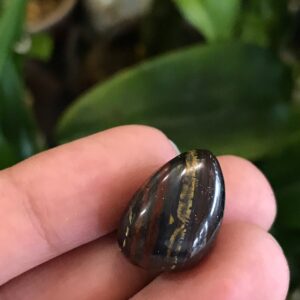 Iron Tiger's Eye Tumbled Iron Tiger's Eye Tumbled