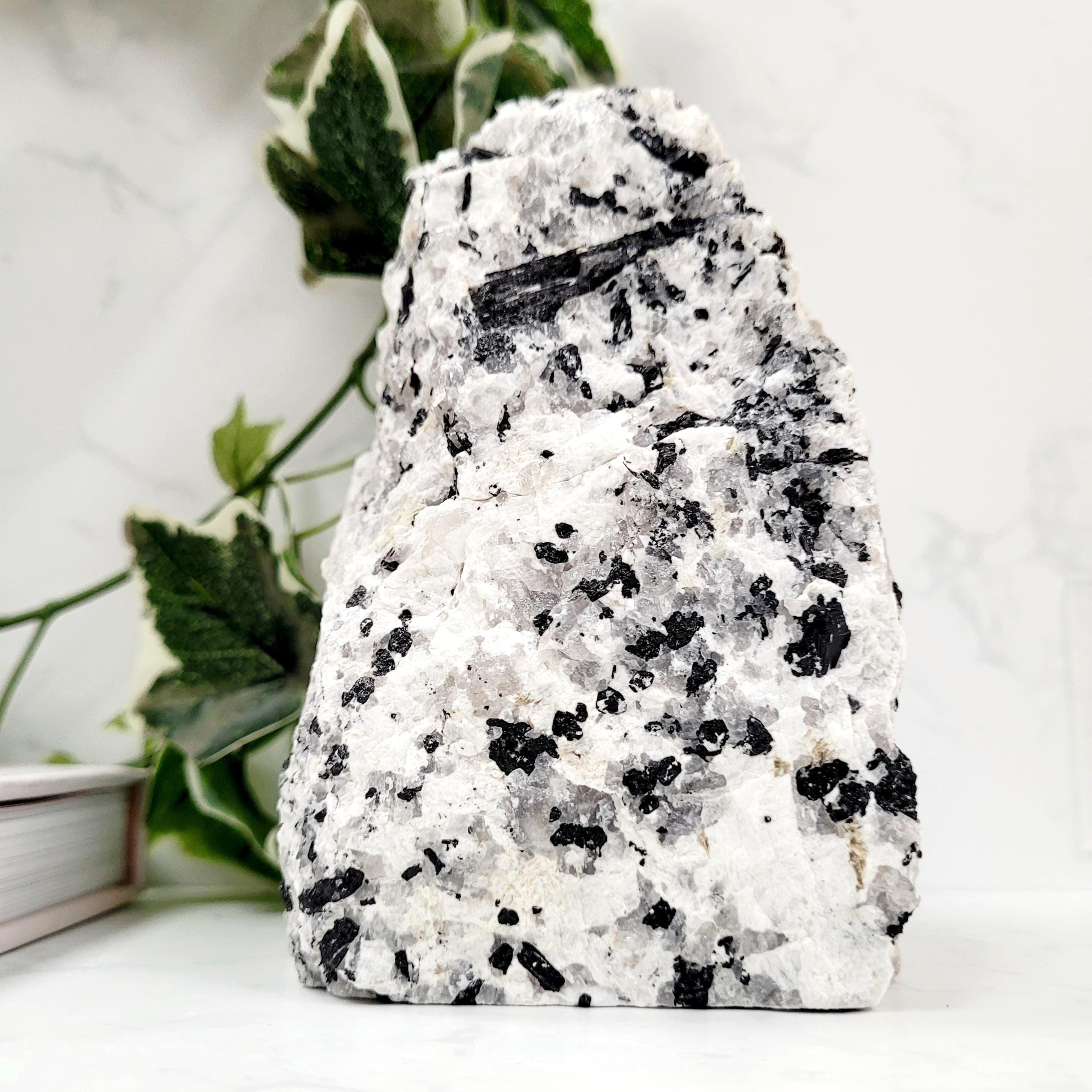 Tourmalinated Quartz Crystal Tower • Protection & Grounding • Ethically Sourced