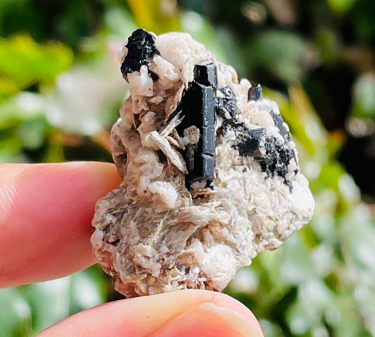 Mini Rough Tourmaline Cluster (14g) Raw Tourmaline Crystal, Rough Black Cream Raw Crystal Cluster, Natural Gemstone Pakistan Specimen