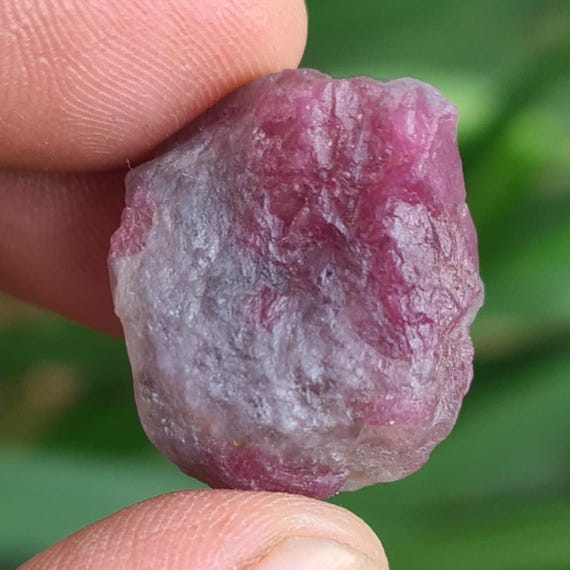 Raw Rubellite Tourmaline: 38 Cts Bi-color Reiki Crystal