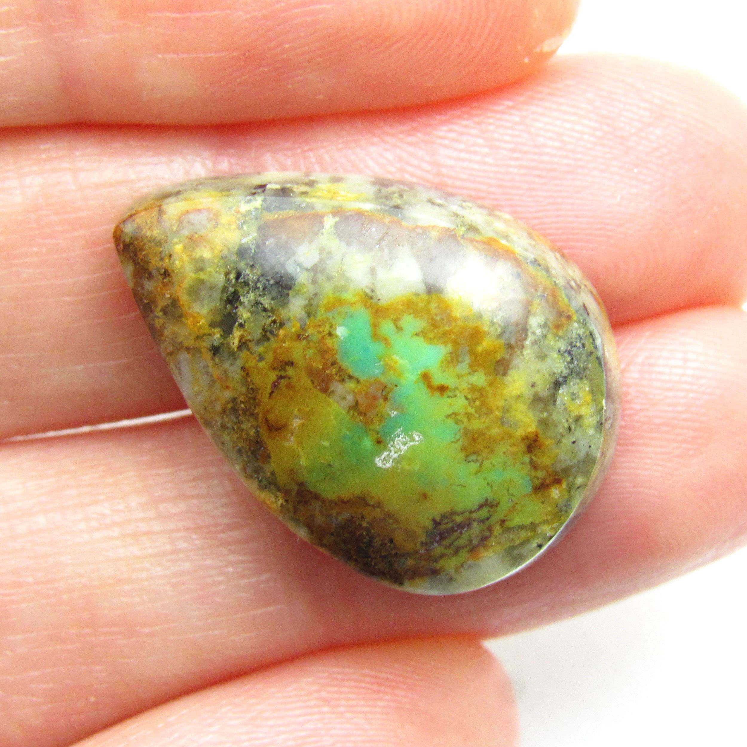 18.360 Carats Hummingbird Cholla Rare Green Turquoise Gemstone Cabochon Sonoran Desert Natural Jewelry Handmade One Of A Kind Lisajoy Sachs 18.360 Carats Hummingbird Cholla Rare Green Turquoise Gemstone Cabochon Sonoran Desert Natural Jewelry Handmade One Of A Kind Lisajoy Sachs