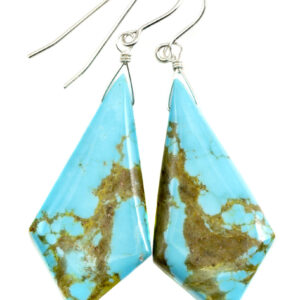 Turquoise Earrings Sterling Silver Smooth Natural Blue Teardrops Long Simple Drops Natural Light Blue And Veining Triangle Cut Simple Large