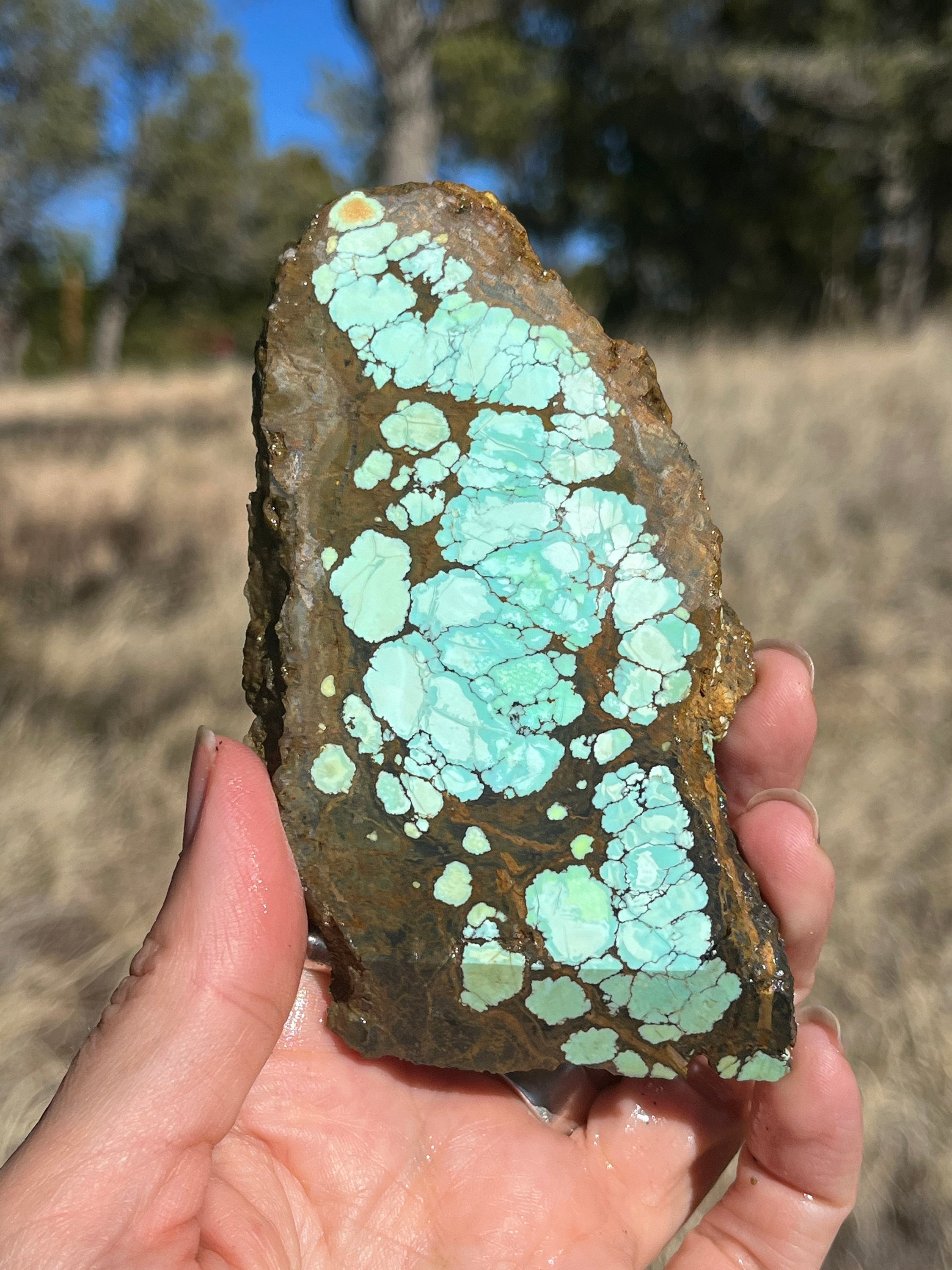 Blue Moon Turquoise Nevada Lapidary Slab Stone Stabilized