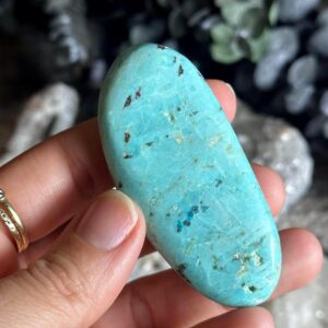 Peruvian Turquoise Palm Stone
