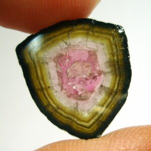 9 Carats Watermelon Tourmaline Cabochon Slice Natural 9 Banded Colors - Perfect for a Pendant or Large Statement Ring Very Rare Banding 9 Carats Watermelon Tourmaline Cabochon Slice Natural 9 Banded Colors - Perfect for a Pendant or Large Statement Ring Very Rare Banding