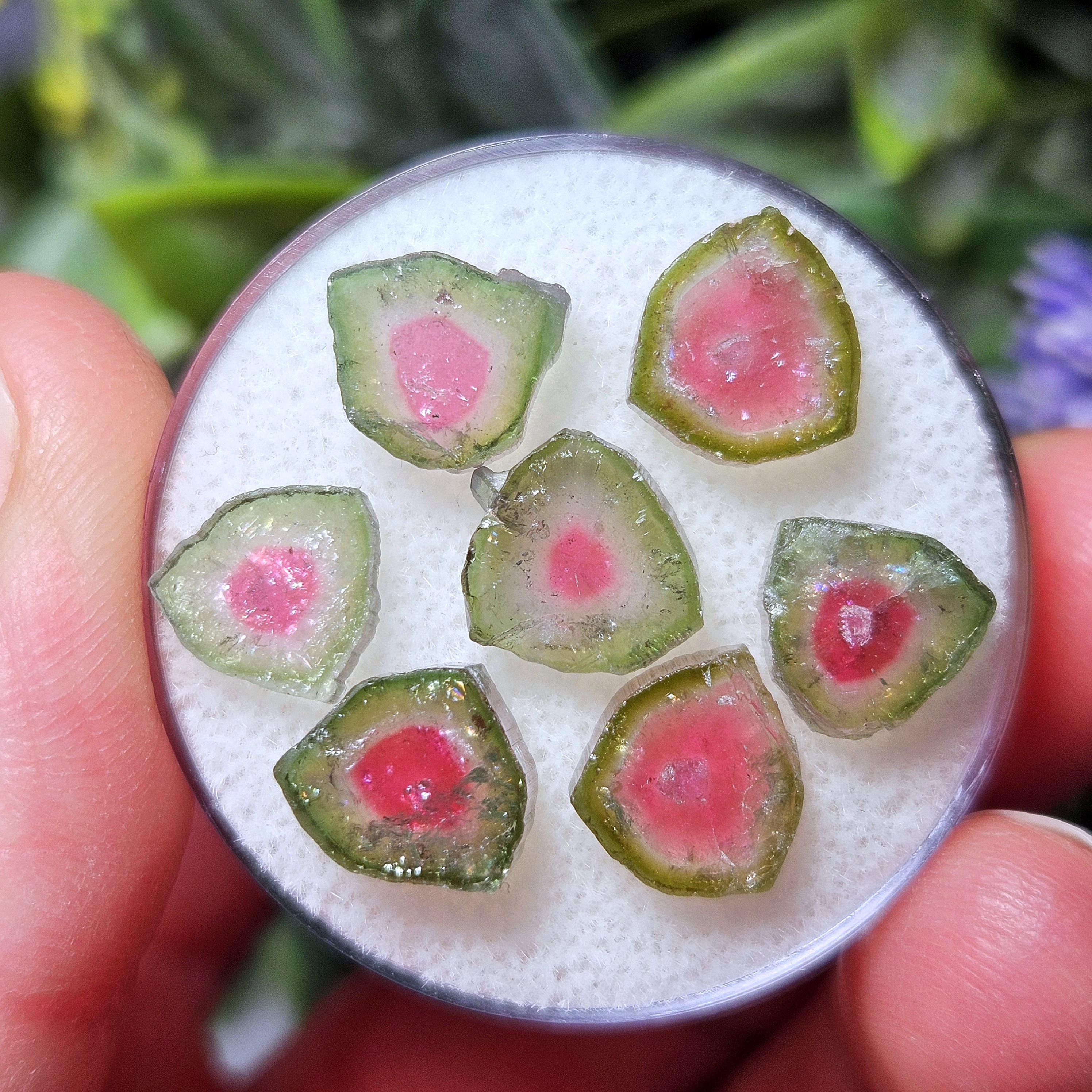 Watermelon Tourmaline Crystal Slice, Natural Polished Specimen (5 To 10mm)