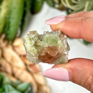 Watermelon Tourmaline | 16g | - #1 (raw Red Green Crystal Specimen, Healing Stone, Passion)