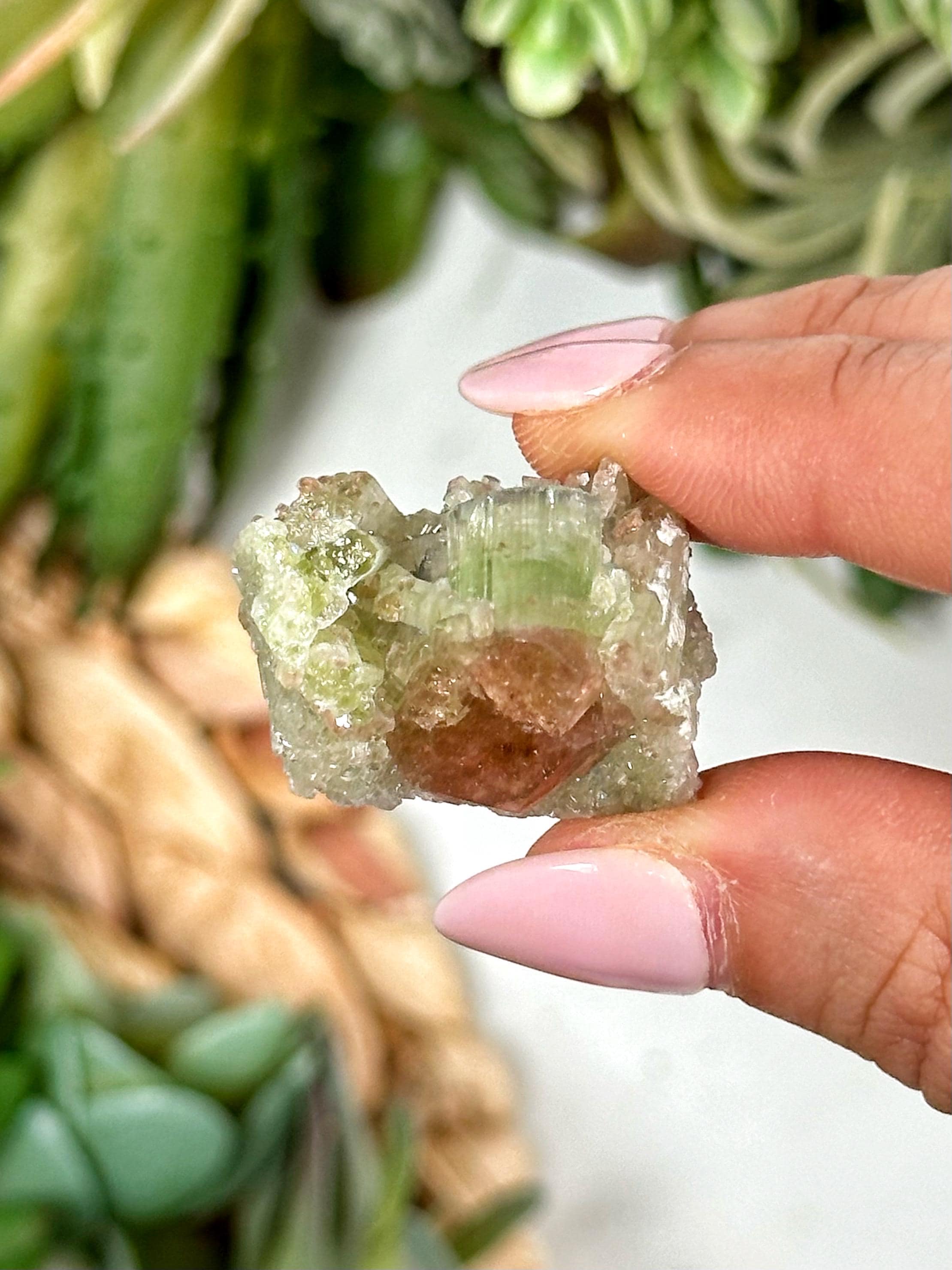 Watermelon Tourmaline | 16g | - #1 (raw Red Green Crystal Specimen, Healing Stone, Passion)