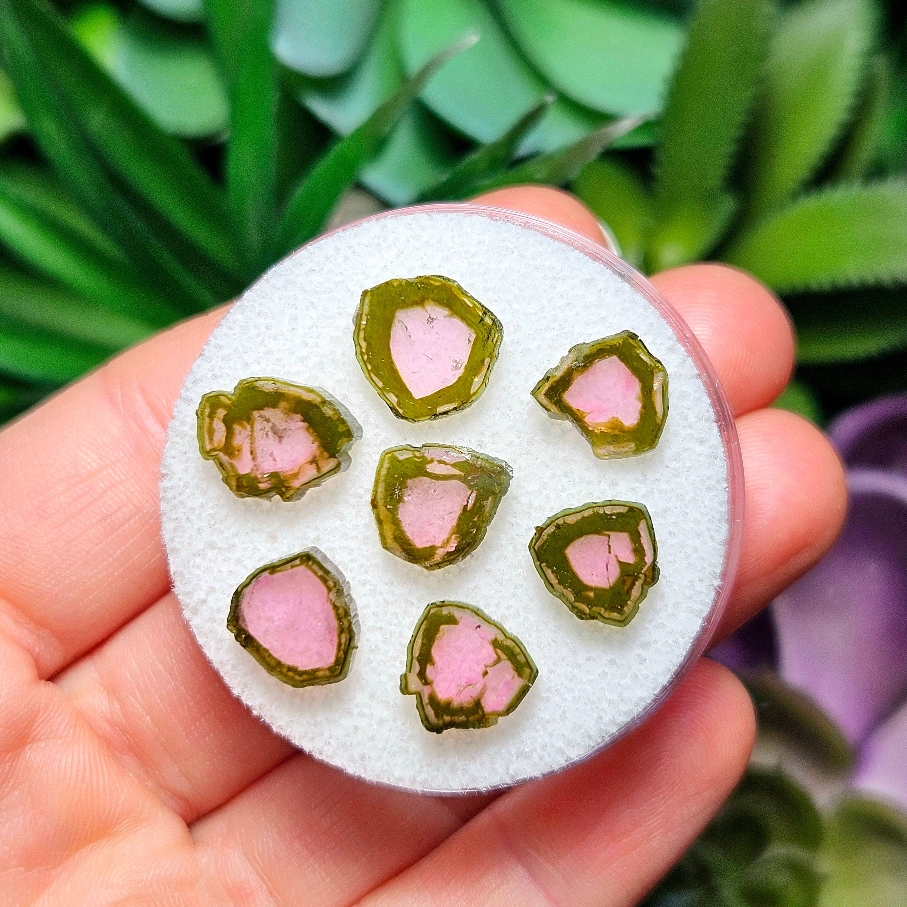 Watermelon Tourmaline Slice - Watermelon Tourmaline Crystal - Watermelon Tourmaline - Tourmaline Slice - Watermelon Tourmaline Specimen