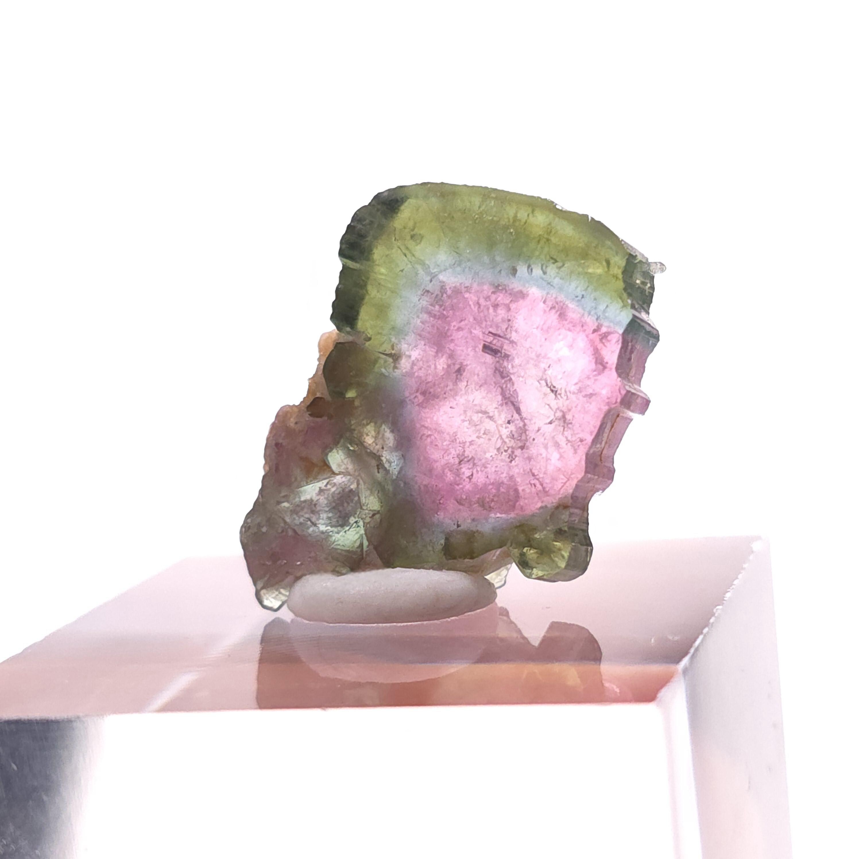 Watermelon Tourmaline Slice - Tourmaline Slice - Watermelon Tourmaline Crystal - Watermelon Tourmaline - Tourmaline Specimen - Tourmaline Watermelon Tourmaline Slice - Tourmaline Slice - Watermelon Tourmaline Crystal - Watermelon Tourmaline - Tourmaline Specimen - Tourmaline