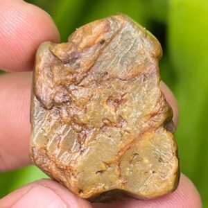 101.65 Carat Yellow Sapphire Specimen: Natural Untreated Gemstone Crystal 101.65 Carat Yellow Sapphire Specimen: Natural Untreated Gemstone Crystal