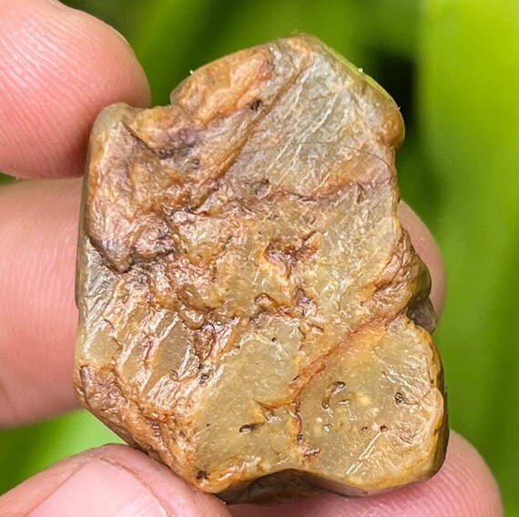101.65 Carat Yellow Sapphire Specimen: Natural Untreated Gemstone Crystal