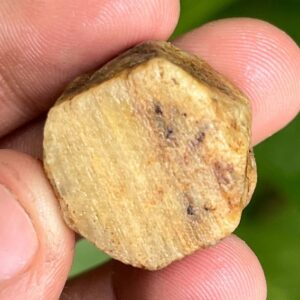 111.35 Carat Yellow Sapphire Specimen: Natural Untreated Gemstone Crystal