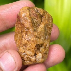 121.3 Carat Yellow Sapphire Specimen: Natural Untreated Record Keeper Crystal 121.3 Carat Yellow Sapphire Specimen: Natural Untreated Record Keeper Crystal