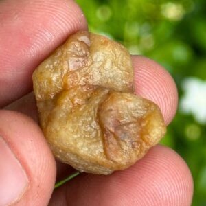 44 Carat Raw Yellow Sapphire Crystal, Record Keeper Stone 44 Carat Raw Yellow Sapphire Crystal, Record Keeper Stone