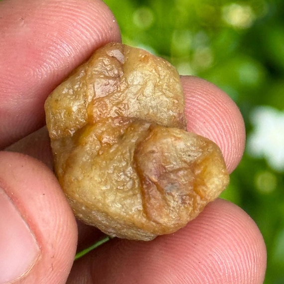 44 Carat Raw Yellow Sapphire Crystal, Record Keeper Stone