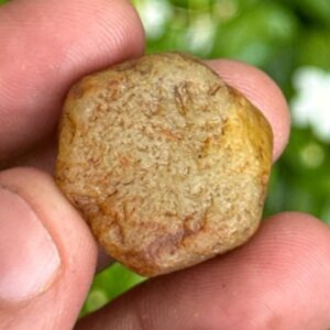 Record Keeper Yellow Sapphire Rough Crystal: 17.5 Carat Untreated Gemstone Record Keeper Yellow Sapphire Rough Crystal: 17.5 Carat Untreated Gemstone