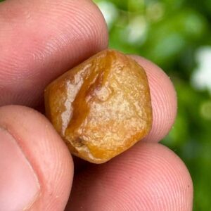 Record Keeper Yellow Sapphire Rough Crystal: 31.5 Carat Untreated Gemstone Record Keeper Yellow Sapphire Rough Crystal: 31.5 Carat Untreated Gemstone