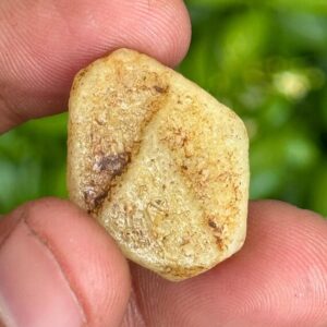 Record Keeper Yellow Sapphire Rough Crystal Yellow Sapphire Raw 27.5 Carat Natural Untreated Sapphire Specimen Birthstone Gemstone Record Keeper Yellow Sapphire Rough Crystal Yellow Sapphire Raw 27.5 Carat Natural Untreated Sapphire Specimen Birthstone Gemstone
