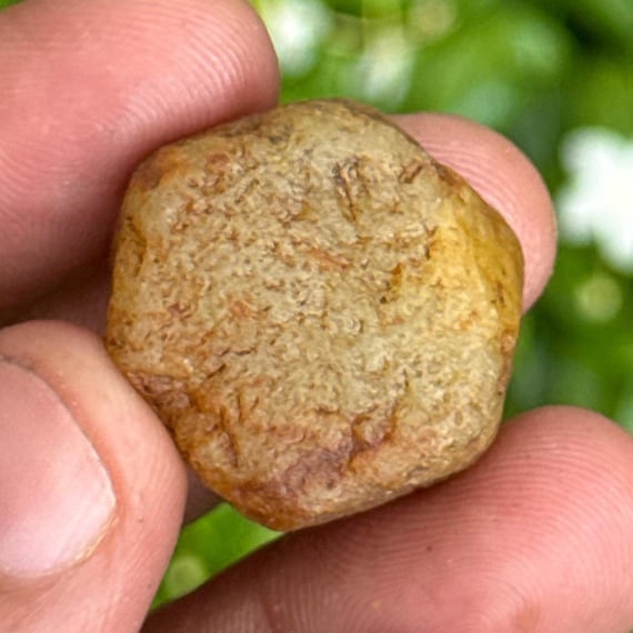 Record Keeper Yellow Sapphire Rough Crystal: 17.5 Carat Untreated Gemstone