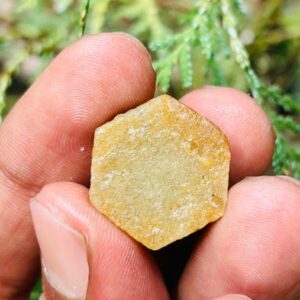 Record Keper Yellow Sapphire Rough Crystal Natural Untreated Sapphire Specimen Birthstone Gemstone. 45crt Record Keper Yellow Sapphire Rough Crystal Natural Untreated Sapphire Specimen Birthstone Gemstone. 45crt