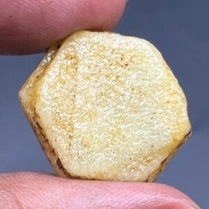 Record Keper Yellow Sapphire Rough Crystal Natural Untreated Sapphire Specimen Birthstone Gemstone. Record Keper Yellow Sapphire Rough Crystal Natural Untreated Sapphire Specimen Birthstone Gemstone.