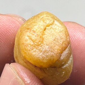 Record Keper Yellow Sapphire Rough Crystal Natural Untreated Sapphire Specimen Birthstone Gemstone. Record Keper Yellow Sapphire Rough Crystal Natural Untreated Sapphire Specimen Birthstone Gemstone.