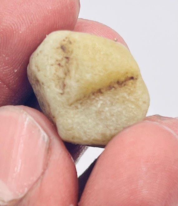 Record Keper Yellow Sapphire Rough Crystal Natural Untreated Sapphire Specimen Birthstone Gemstone.