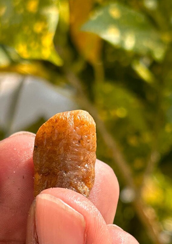 Record Keper Yellow Sapphire Rough Crystal Natural Untreated Sapphire Specimen Birthstone Gemstone. 90crt