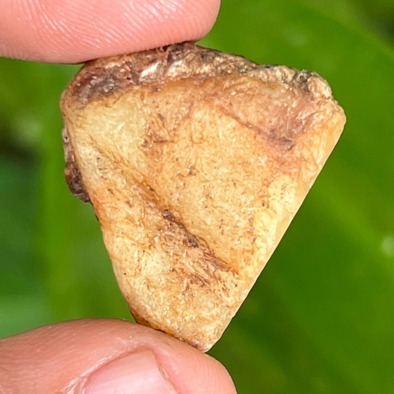 Recored Keeper Yellow Sapphire Gemstone Crystal Carat Natural Untreated Sapphire Yellow Sapphire Specimen Birthstone Gemstone. 54.10 Carat.