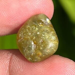 Raw Yellow Sapphire: Untreated September Birthstone, 11.85 Carat