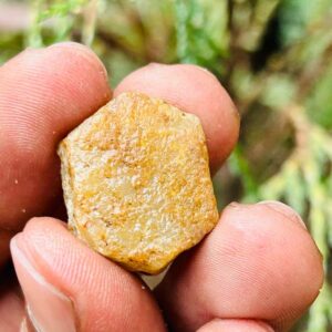 Very Rare Record Keper Yellow Sapphire Rough Crystal Natural Untreated Sapphire Specimen Birthstone Gemstone. 35crt