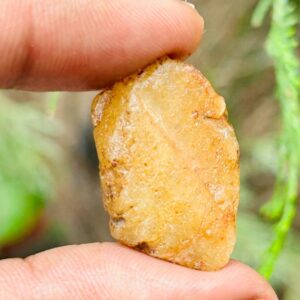 Very Rare Record Keper Yellow Sapphire Rough Crystal Natural Untreated Sapphire Specimen Birthstone Gemstone. 35crt
