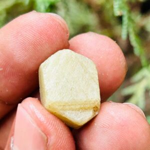 Very Rare Record Keper Yellow Sapphire Rough Crystal Natural Untreated Sapphire Specimen Birthstone Gemstone. 35crt Very Rare Record Keper Yellow Sapphire Rough Crystal Natural Untreated Sapphire Specimen Birthstone Gemstone. 35crt