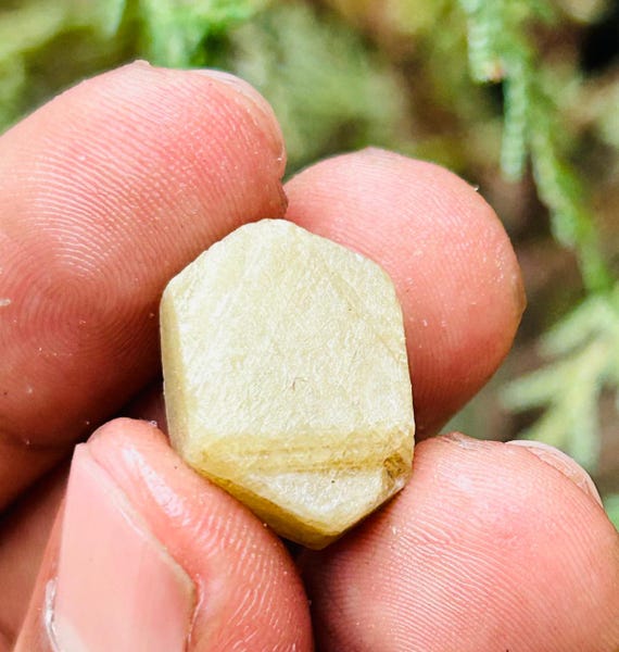 Very Rare Record Keper Yellow Sapphire Rough Crystal Natural Untreated Sapphire Specimen Birthstone Gemstone. 35crt